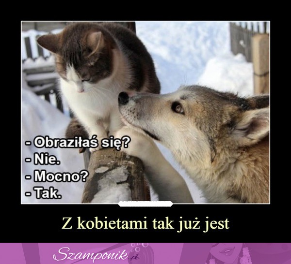 Tak to już jest