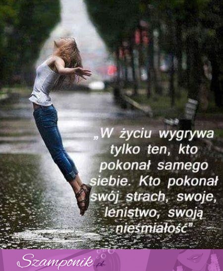 W życiu wygrywa ten...