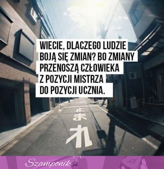 Bojąc się zmian