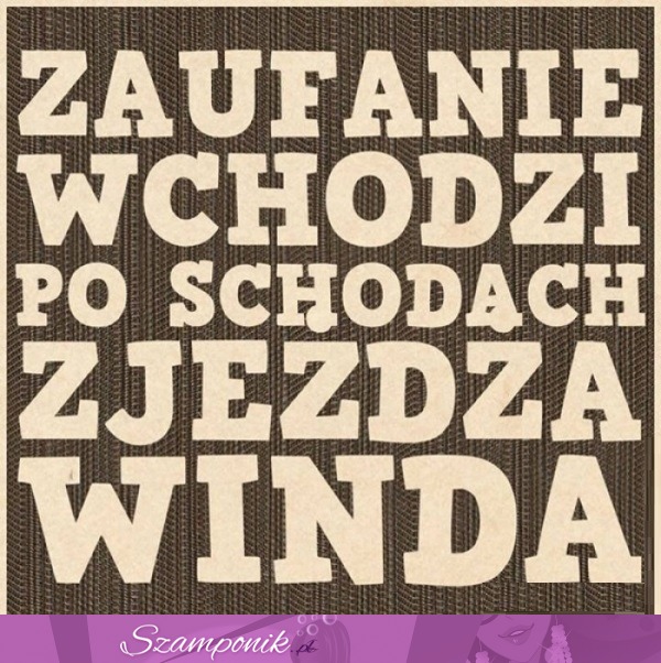 Zaufanie wchodzi po schodach...