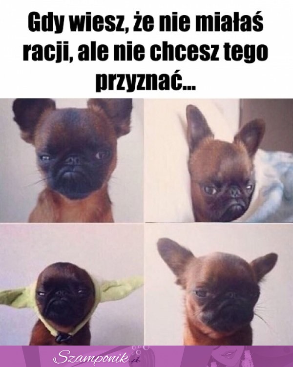 Nie przyznam się