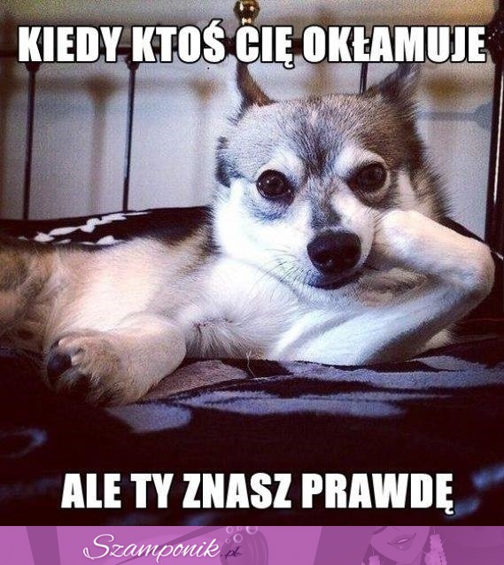 Kiedy ktoś Cię okłamuje...