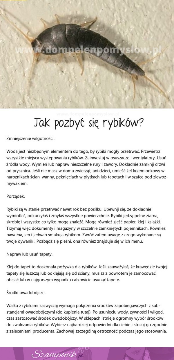 Jak pozbyć się rybików? DOBRE RADY!