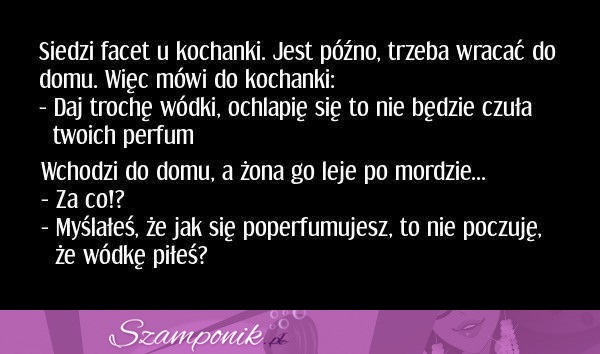 Siedzi facet u kochanki. jest późno, trzeba wracać do domu. więc mówi do kochanki... haha dobre! :d