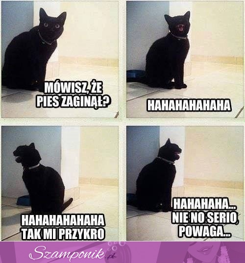 To straszne XD