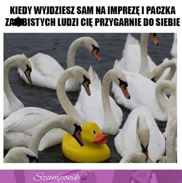 Kiedy wyjdziesz sam na imprezę