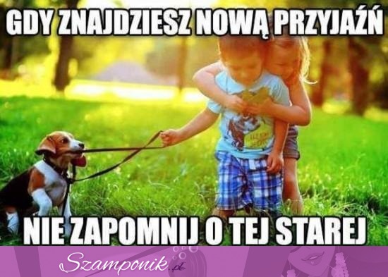 Pamietaj o każdej przyjaźni