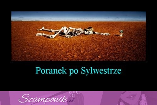 Poranek po sylwestrze