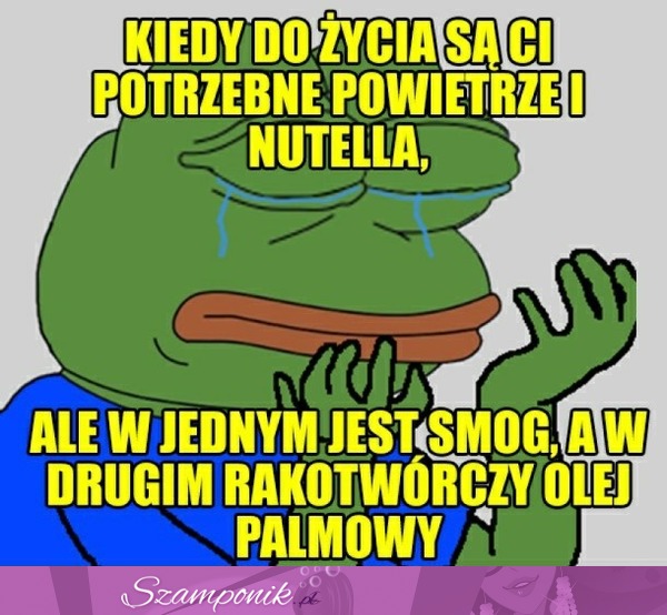 I jak żyć...