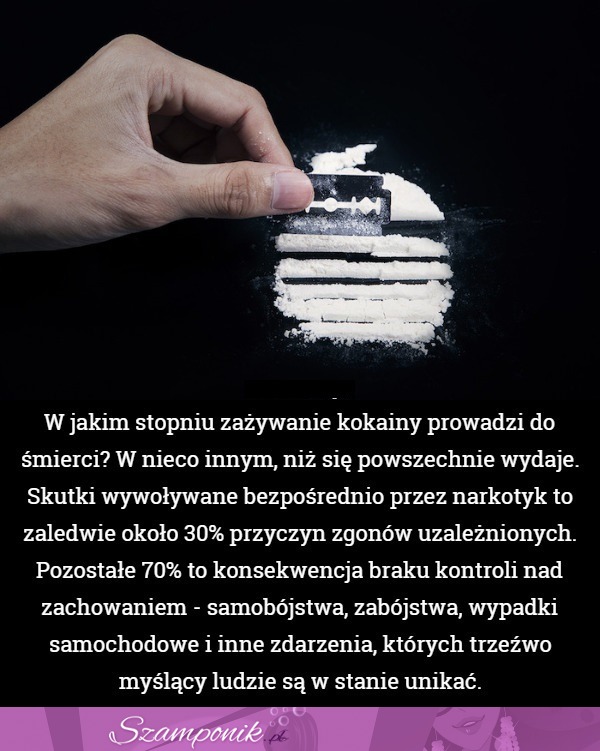 W jakim stopniu zażywanie KOKAINY prowadzi do śmierci? W nieco innym niż się powszechnie wydaje...