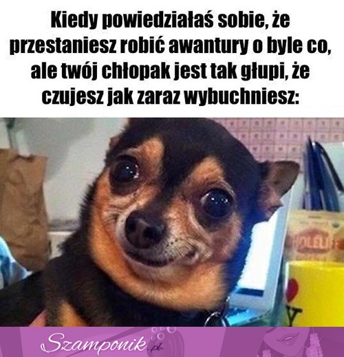 Czasem się nie da inaczej ;D