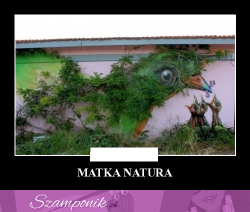 Matka-natura