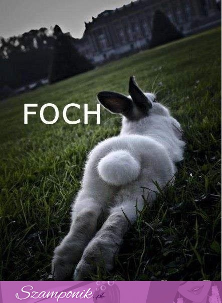 FOCH!