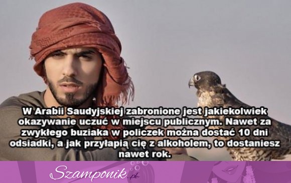 11 najśmieszniejszych prawnych absurdów dotyczących związków!