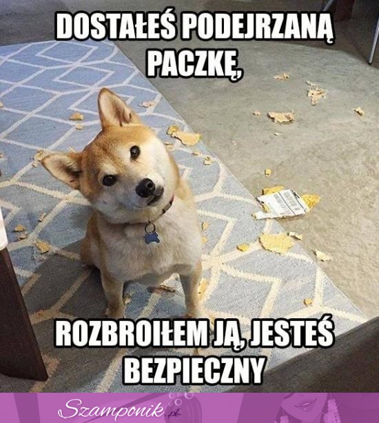 Jesteś już bezpieczny ;D