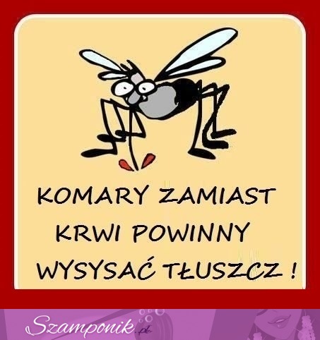 Komary powinny wysysać tłuszcz