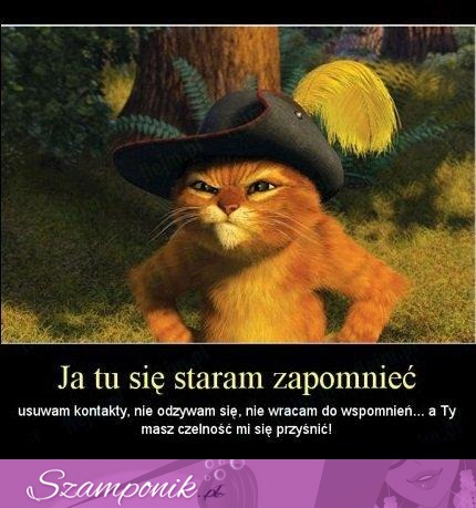 Ja tu się staram zapomnieć...