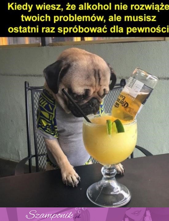 Alkohol nie rozwiąże Twoich problemów ;P