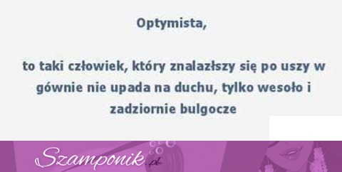 Optymista