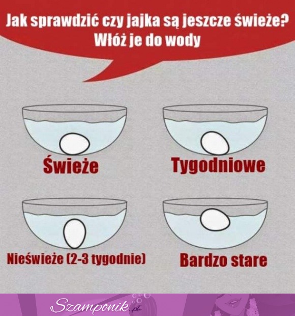 Jak sprawdzić, czy jajka są jeszcze świeże! :D