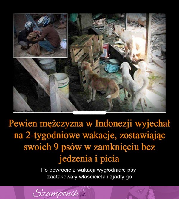 Pewien mężczyzna wyjeżdżając na 2-tygodniowe wakacje zostawił swoje psy w zamknięciu...