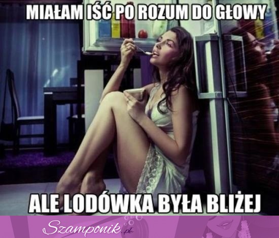 Rozum vs lodówka haha