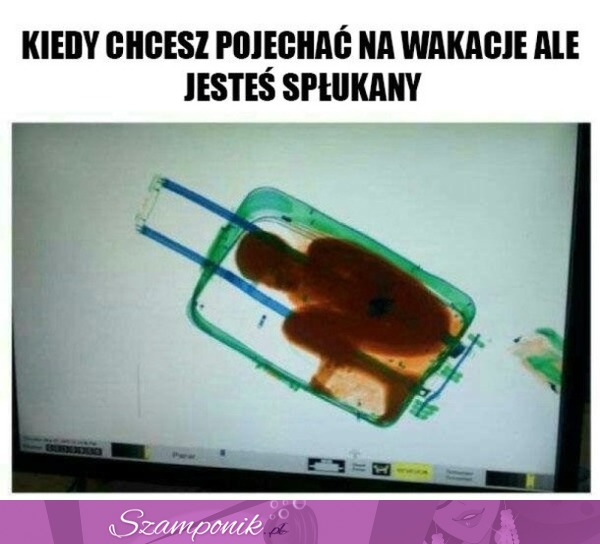 Kiedy chcesz pojechać na wakacje