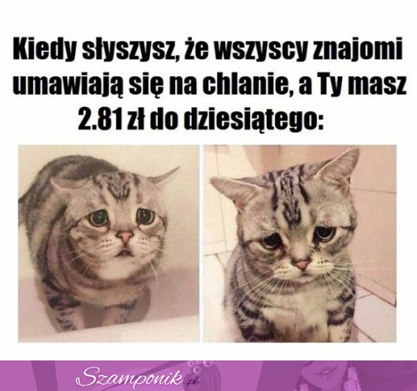 Byleby do dziesiątego