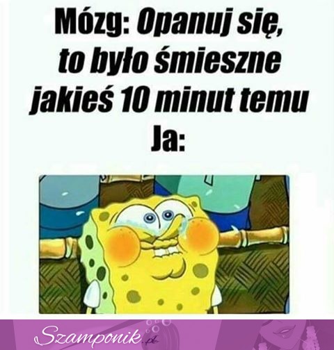 Mój mózg...