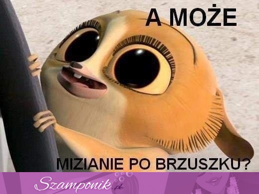 Mizianie po brzuszku, kto chętny! ;P