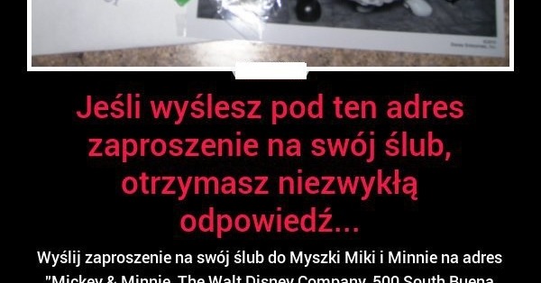 Szamponikpl Jeśli Wyślesz Pod Ten Adres Zaproszenie Na Swój ślub