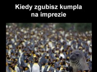 Andrzej!