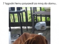 Dobrzy ludzie jeszcze istnieją... poznajcie Franka! Zobacz, jak się zmienił!