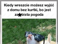 Kiedy wreszcie możesz wyjść z domu