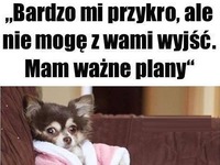 Przykro mi ale nie mogę wyjść ;D