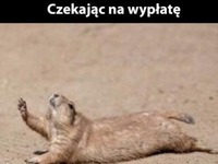 Czekając na wypłatę- cała ja ;P