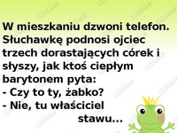 W mieszkaniu dzwoni telefon...