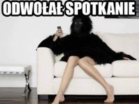 Odwołał spotkanie...