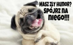 Masz zły humor