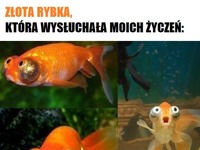 Szkoda mi jej ;D