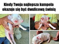 Już nie kumpela