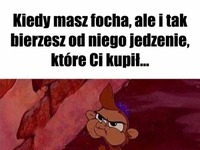 Kiedy masz focha