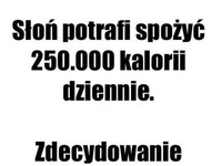 Urodziłam się w złym ciele ;D