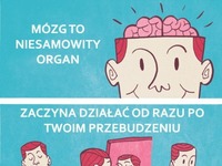 Mózg to niesamowity, ale też cwany organ ;D