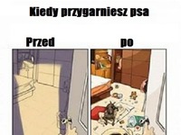 Zanim przygarniesz psa/kiedy przygarniesz psa