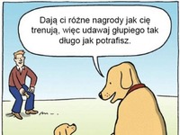 Udawaj głupiego ;)