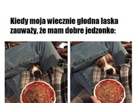 Już taka jest