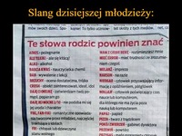 Slang dzisiejszej młodzieży. Znacie przynajmniej część? :D