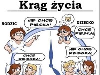 Krąg życia