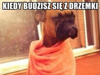 Kiedy budzisz sie z drzemki